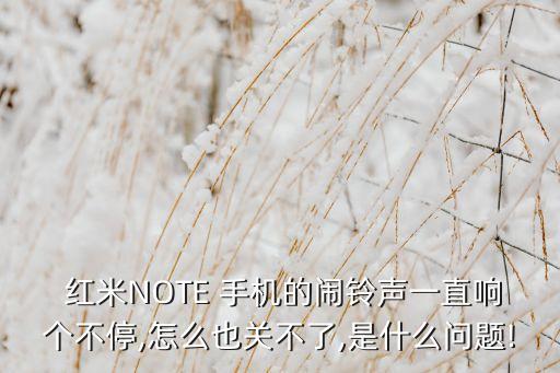  紅米NOTE 手機(jī)的鬧鈴聲一直響個(gè)不停,怎么也關(guān)不了,是什么問(wèn)題!