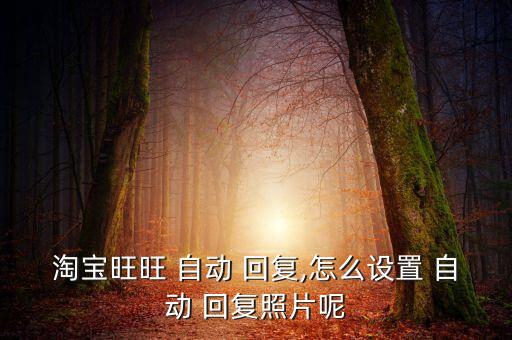 淘寶旺旺 自動(dòng) 回復(fù),怎么設(shè)置 自動(dòng) 回復(fù)照片呢