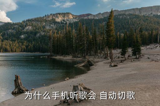 app說一句話自動變成歌,手機(jī)自動切歌怎么辦?