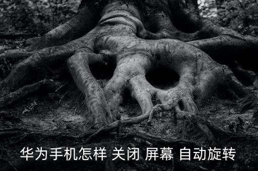 怎樣關(guān)閉自動轉(zhuǎn)屏幕,手機屏幕不能自動旋轉(zhuǎn)怎么辦?