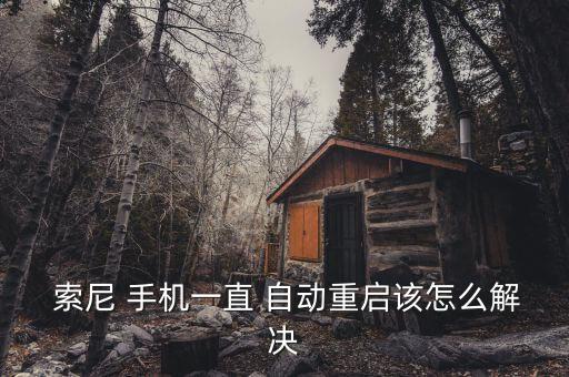 索尼手機自動安裝軟件,索尼88883手機有哪些隱藏應用?