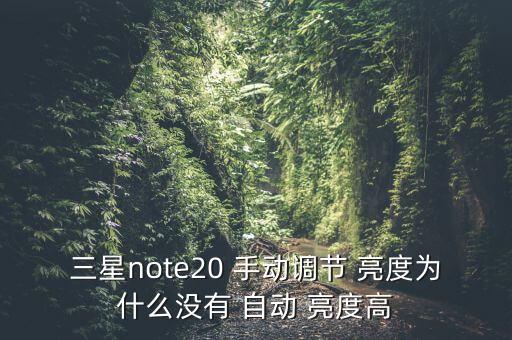 三星note20 手動(dòng)調(diào)節(jié) 亮度為什么沒(méi)有 自動(dòng) 亮度高