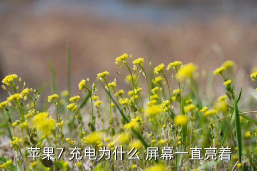  蘋果7 充電為什么 屏幕一直亮著