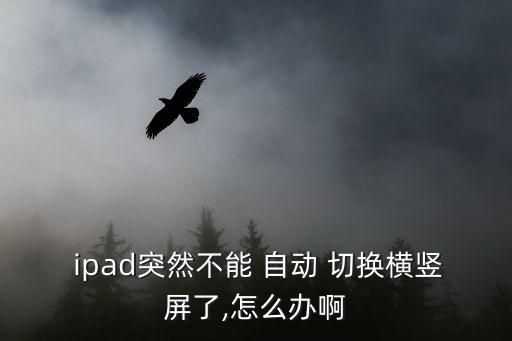  ipad突然不能 自動(dòng) 切換橫豎屏了,怎么辦啊