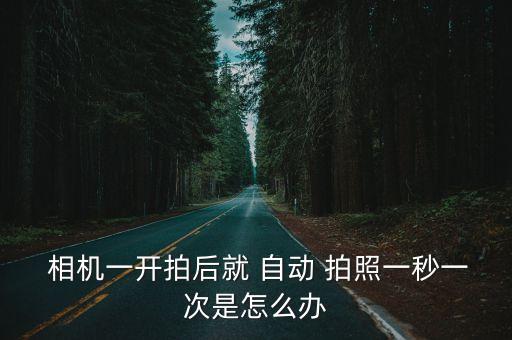 怎么樣讓相機(jī)自動(dòng)拍照,自拍模式下如何拍照?