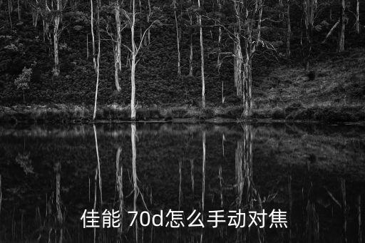 佳能70d自動對焦af,數(shù)碼相機(jī)時(shí)代自動對焦功能依舊有效