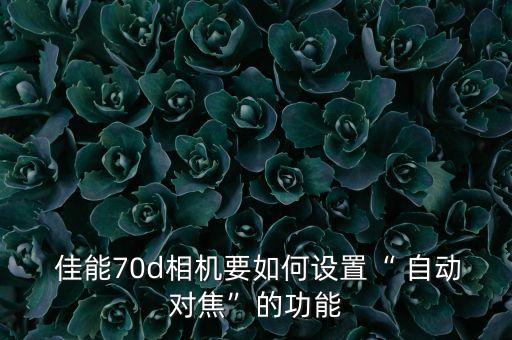  佳能70d相機要如何設置“ 自動對焦”的功能
