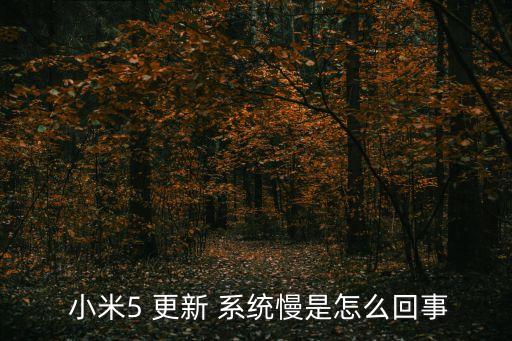 小米5夜晚系統(tǒng)自動更新,工廠版系統(tǒng)穩(wěn)定用戶可以刷開發(fā)版使用