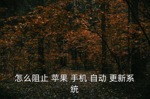 怎么阻止 蘋果 手機 自動 更新系統(tǒng)