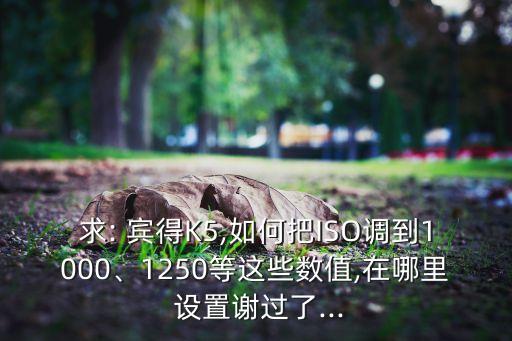 賓得k5自動跟焦設置,賓得k7之后機型都有自動焦點追蹤功能