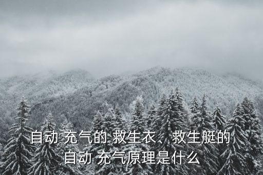 自動(dòng)充氣救生衣可以反復(fù)使用嗎,如何使用救生衣?