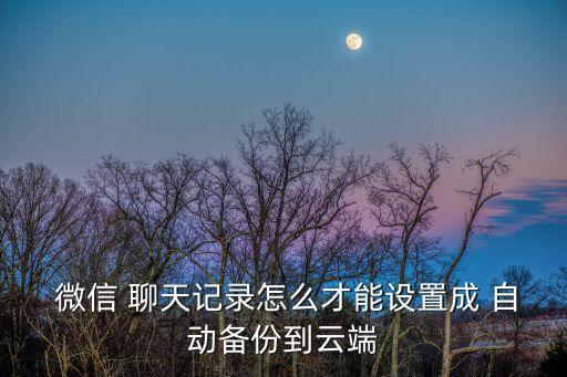  微信 聊天記錄怎么才能設(shè)置成 自動(dòng)備份到云端