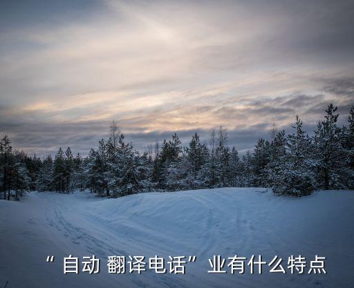 通電話自動翻譯,翻譯軟件很專業(yè)但打電話要收費!