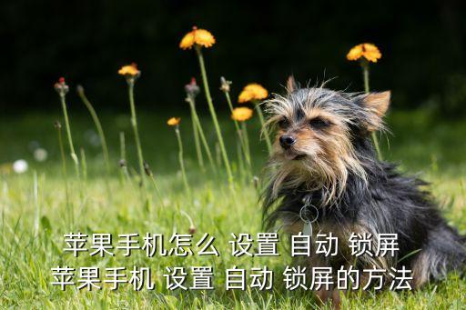  蘋果手機怎么 設(shè)置 自動 鎖屏 蘋果手機 設(shè)置 自動 鎖屏的方法