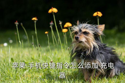 蘋果 手機快捷指令怎么添加 充電器