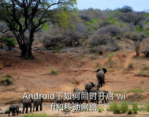 Android下如何同時(shí)開啟 wifi和移動(dòng)網(wǎng)絡(luò)
