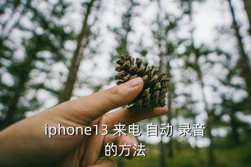 自動(dòng)來(lái)電錄音.apk,電話自動(dòng)錄音功能怎么用?