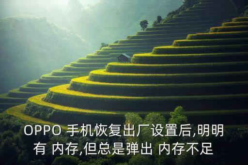 手機自動跳出內(nèi)存情況,手機內(nèi)存不足怎么辦?