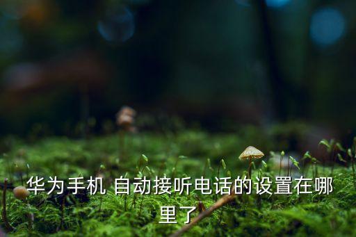 華為p10自動(dòng)打電話,手機(jī)設(shè)置來(lái)電自動(dòng)接聽如何操作?