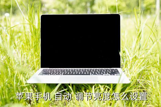  蘋果手機(jī) 自動(dòng) 調(diào)節(jié)亮度怎么設(shè)置