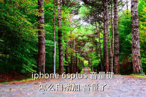 iphone 6splus 音量鍵怎么自動(dòng)加 音量了