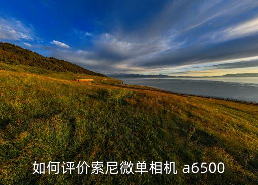 如何評價索尼微單相機 a6500