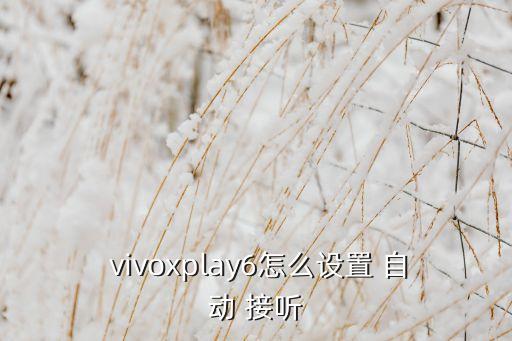  vivoxplay6怎么設(shè)置 自動 接聽