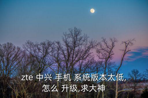 中興手機系統(tǒng)自動升級,中興沒有做升級包民間也沒有