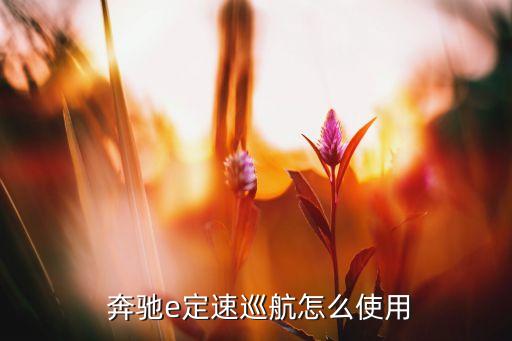 奔馳新e半自動駕駛,外媒:奔馳換代車型搭載六缸發(fā)動機
