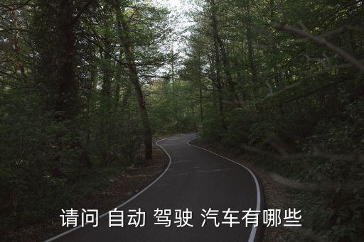 請問 自動 駕駛 汽車有哪些