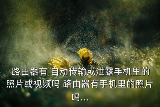 自動存儲照片的路由器,小米路由器或引發(fā)存儲照片新革命