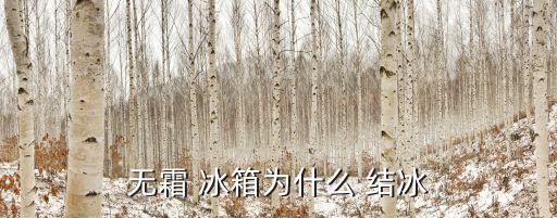 無(wú)霜 冰箱為什么 結(jié)冰
