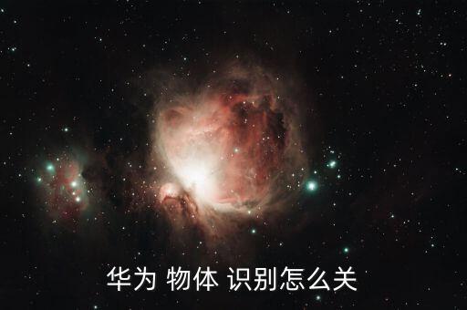 物體自動(dòng)識(shí)別芯片,華為手機(jī)自帶相機(jī)還可拍攝-2識(shí)別