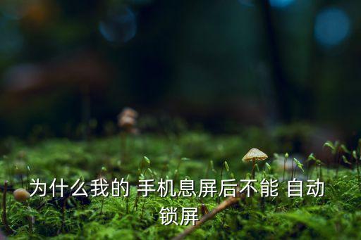 手機(jī)亮屏以后自動鎖屏,如何設(shè)置自動鎖屏?