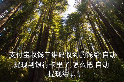 支付寶自動(dòng)提現(xiàn)怎么弄,支付寶藏推薦賞金可查看余額詳情