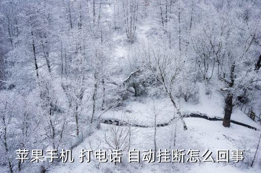 蘋果手機(jī) 打電話 自動掛斷怎么回事