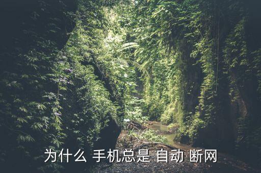 為什么 手機(jī)總是 自動(dòng) 斷網(wǎng)