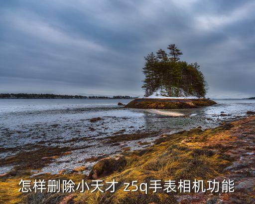 怎樣刪除小天才 z5q手表相機(jī)功能