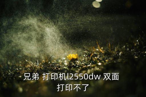 兄弟 打印機(jī)l2550dw 雙面 打印不了