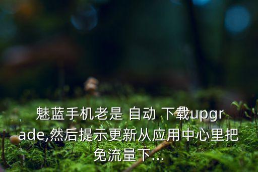  魅藍手機老是 自動 下載upgrade,然后提示更新從應用中心里把免流量下...