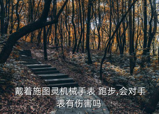  戴著施圖靈機(jī)械手表 跑步,會(huì)對(duì)手表有傷害嗎