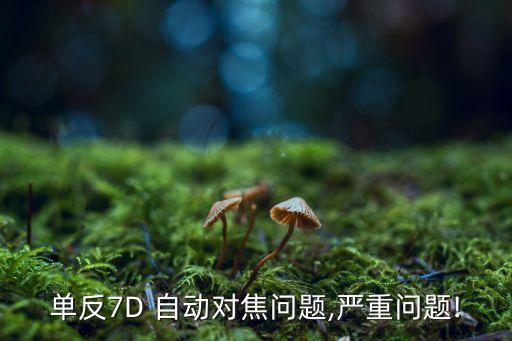 7d 自動對焦,如何使用自動對焦模式?
