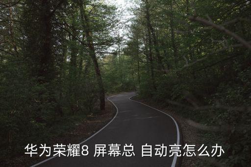 屏幕自動(dòng)點(diǎn)亮 安卓,vivo手機(jī)如何自動(dòng)亮屏?