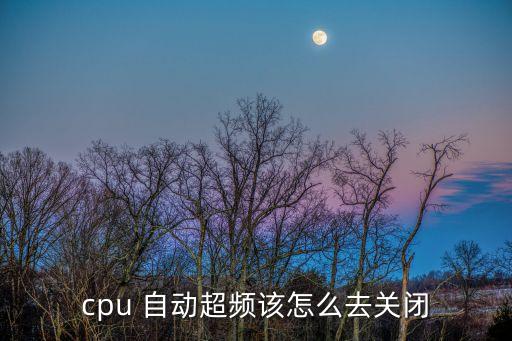 bios超倍頻自動(dòng)掉,超頻的數(shù)學(xué)公式!
