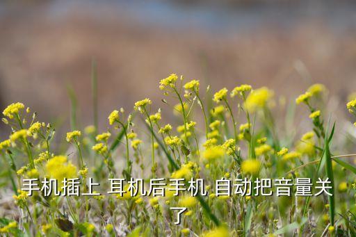 手機(jī)插上 耳機(jī)后手機(jī) 自動(dòng)把音量關(guān)了