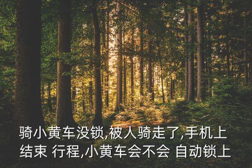ofo自動結束行程,青春自行車鎖車方法:騎行結束后自動解鎖