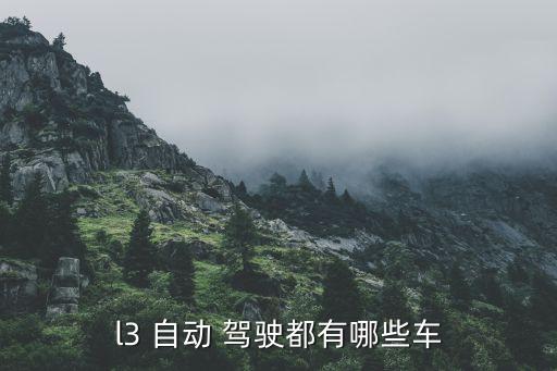 國產(chǎn)智能汽車自動駕駛,三、自動駕駛汽車簡介