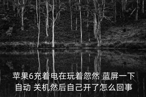  蘋果6充著電在玩著忽然 藍屏一下 自動 關(guān)機然后自己開了怎么回事