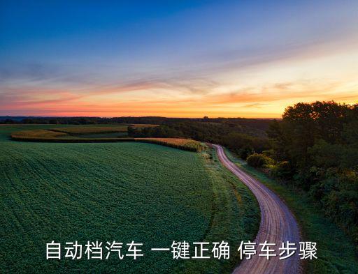  自動(dòng)檔汽車 一鍵正確 停車步驟