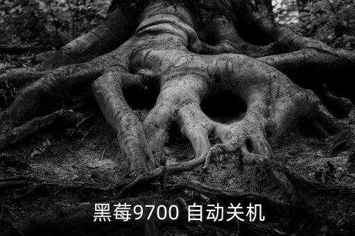  黑莓9700 自動關(guān)機(jī)
